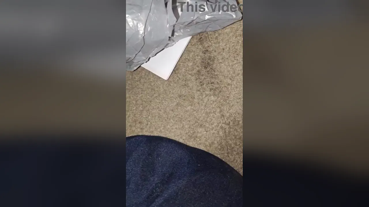 Blackbullkp fucks Ravishing Ray's big tits in a car