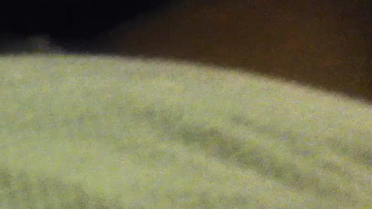 BBW mature woman strips and masturbates