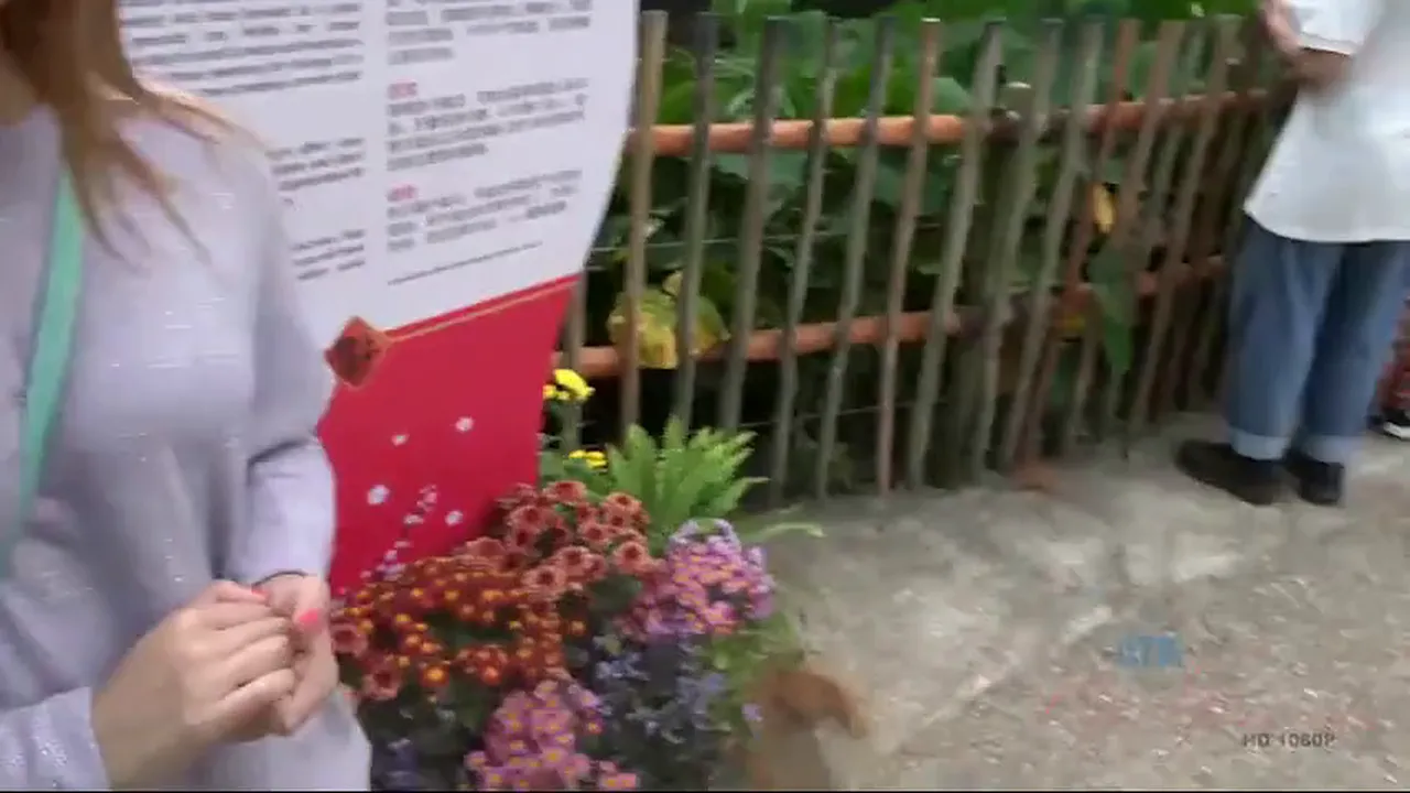 Curvy brunette Jamie Marleigh gives a POV creampie close-up