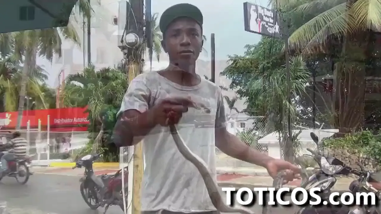 Dominican Latina street girl Tina gets fucked by a black guy