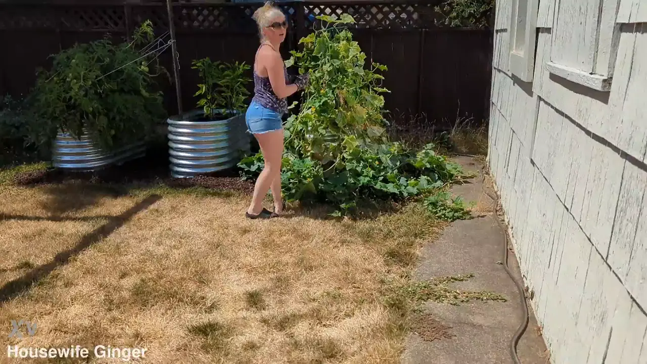 Ginger the housewife deep throats and cums on her neighbor's cock
