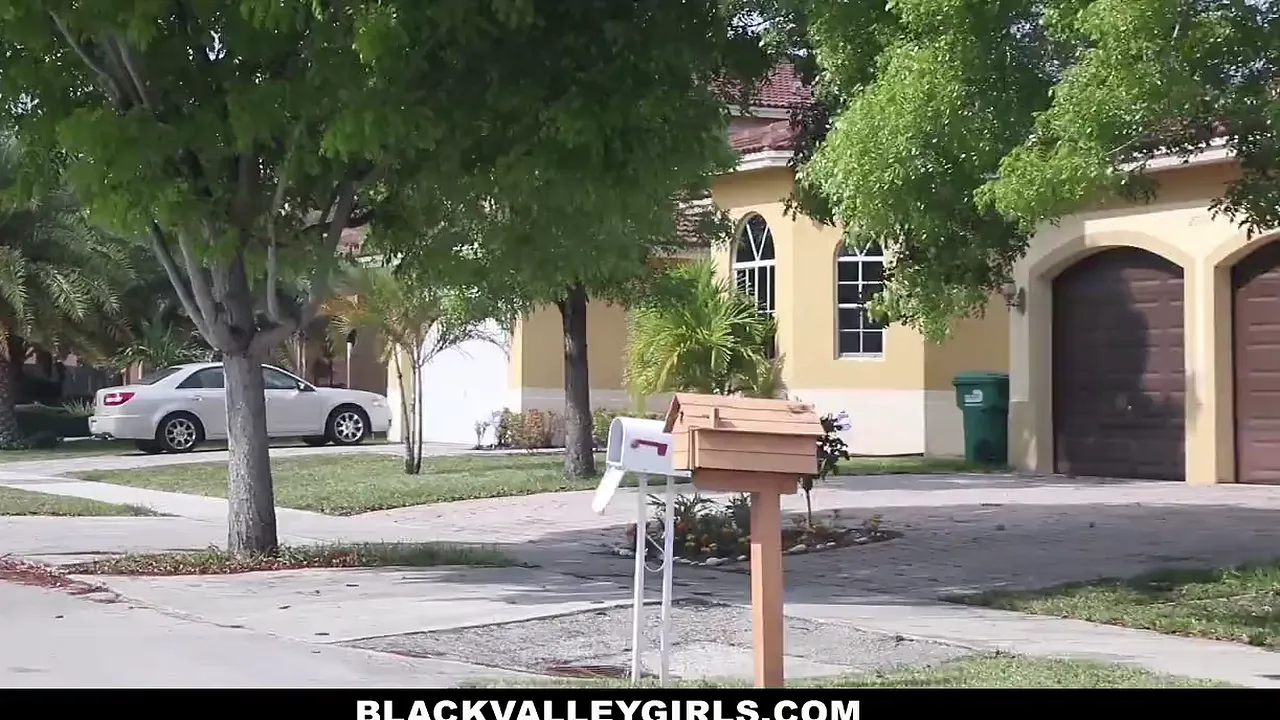 Ebony girls share big cock in threesome